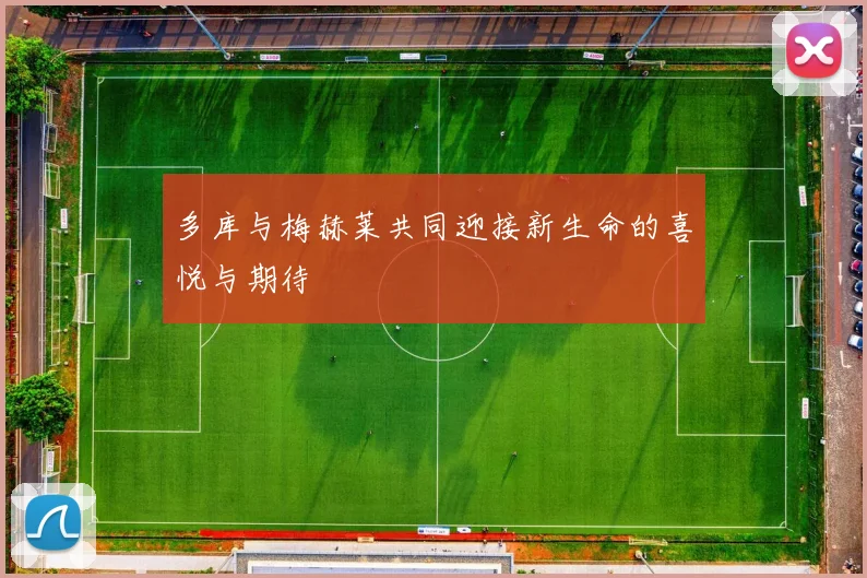 多库与梅赫莱共同迎接新生命的喜悦与期待